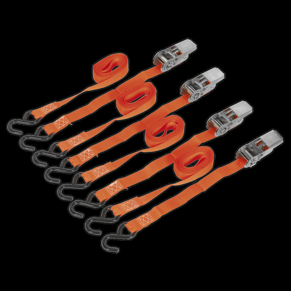 Ratchet Straps 25mm x 4m Polyester Webbing with S-Hooks 500kg Breaking Strength - 2 Pairs