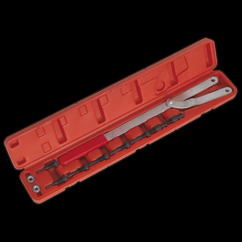 Sealey Universal Pulley & Fan Clutch Holder Set