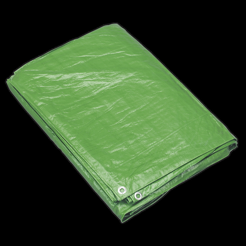 Tarpaulin 1.73 x 2.31m Green