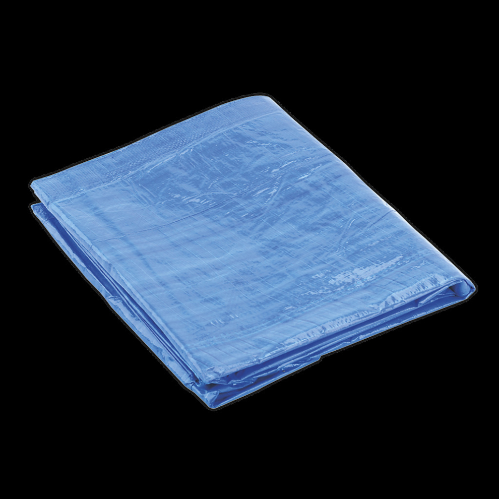 Tarpaulin 4.88 x 6.10m Blue