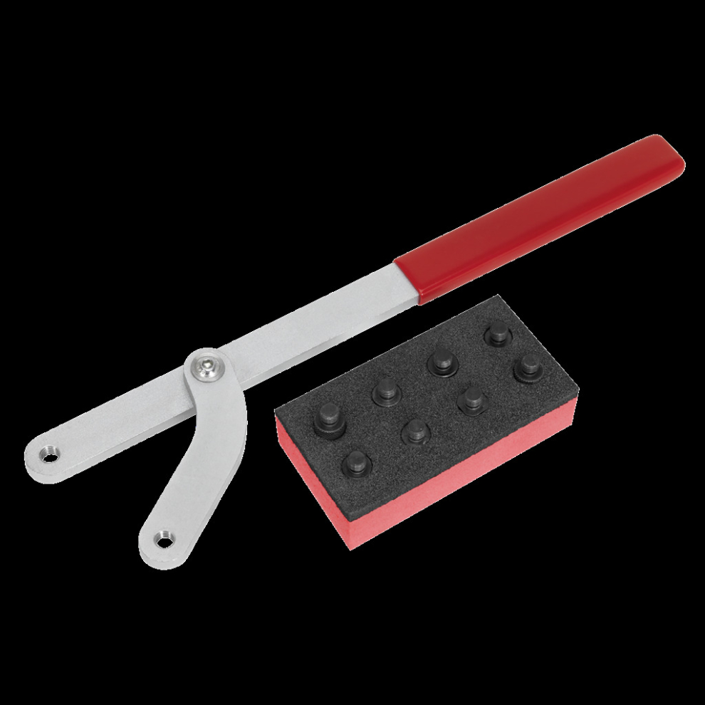 Sealey Universal Pulley & Fan Clutch Holder Set