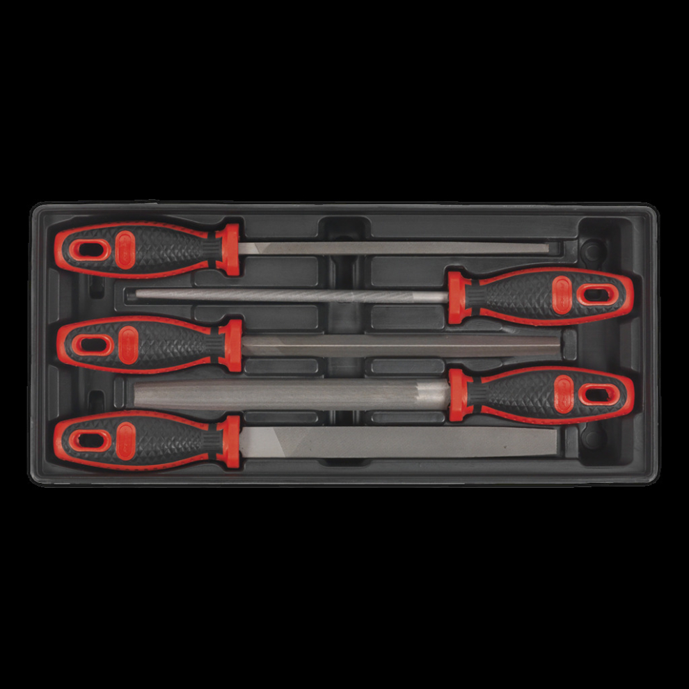 Tool Tray with Engineer?s File Set 5pc