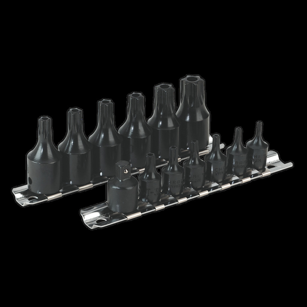 TRX-Star* Security Socket Bit Set 13pc 1/4" & 3/8"Sq Drive