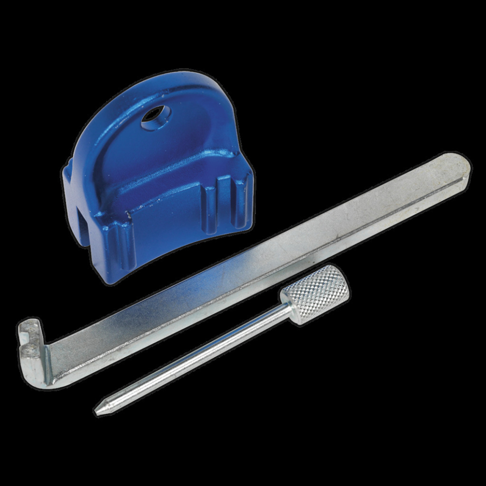 Sealey Petrol Engine Timing Tool Kit - For Gm, Saab, Chevrolet - Ecotec 1.4/1.6/1.816V - Belt Drive