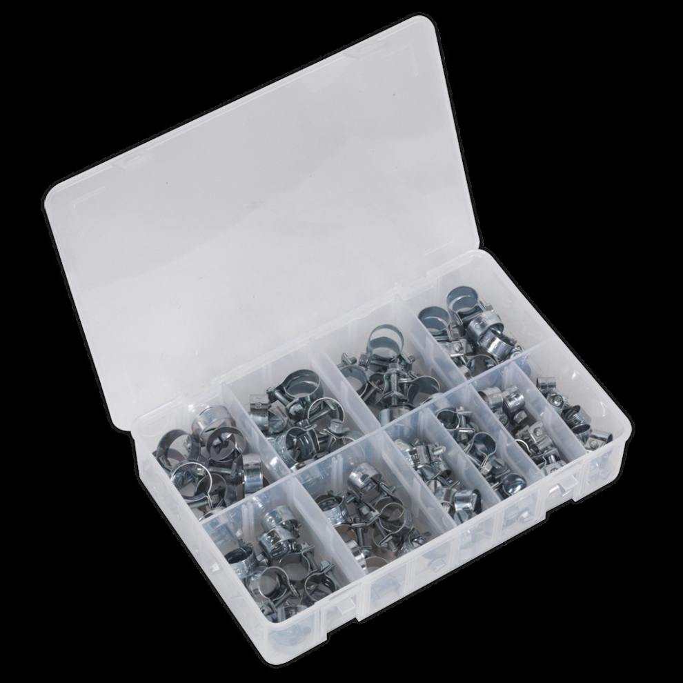 Mini Hose Clip Assortment 100pc