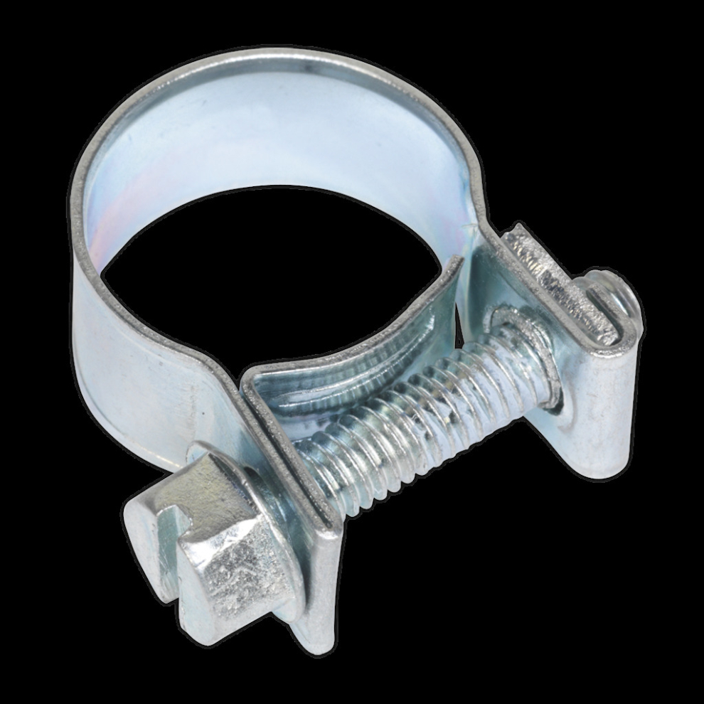 Sealey Mini Hose Clip Ø13-15Mm Pack Of 30