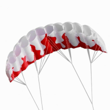 2.06m Stunt Kite Dual Line Easy to Fly Plaid Cloth Portable Flame Stunt Parafoil for Beginner