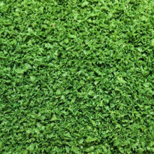 2*30g Foliage Material Scale Model Tree Light weight Long-leaf Tree Powder Terrain Powder Sand Table Material Diy Cedar Dioramas