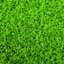 Large particle simulation Tree Powder Mixed 30G/Package