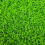 Large particle simulation Tree Powder Mixed 30G/Package 1
