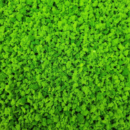 Large particle simulation Tree Powder Mixed 30G/Package