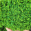 Large particle simulation Tree Powder Mixed 30G/Package 2