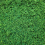 Large particle simulation Tree Powder Mixed 30G/Package 3