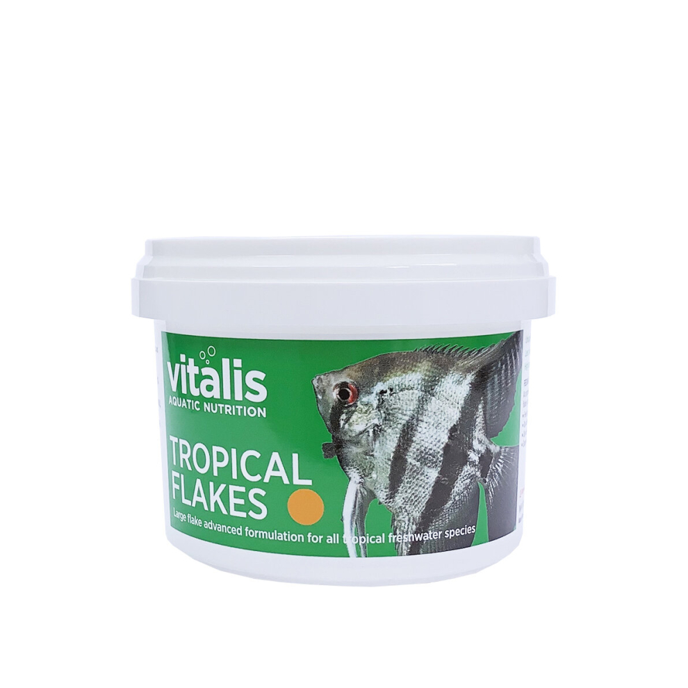 Vitalis Aquatic Nutrition (22G) Vitalis Tropical Flakes For Freshwater Aquarium Fish