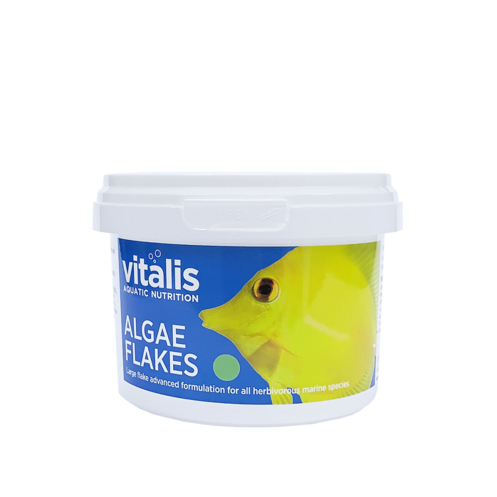 (22g) Vitalis Marine Algae Flakes Fish Food for Veggie Herbivore Fish Marine Reef Aquarium Fish Tank