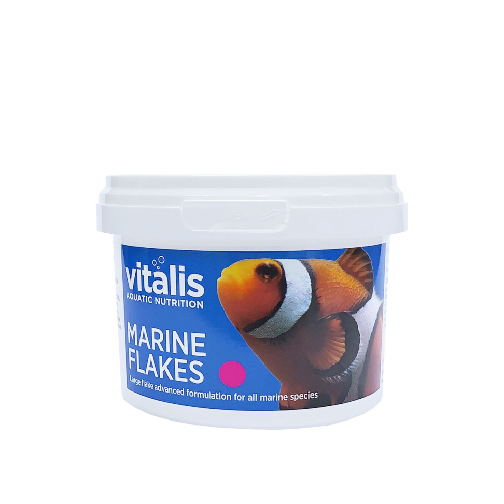 (22g) Vitalis Marine Flakes Fish Food for Marine Reef Aquarium Fish Tank