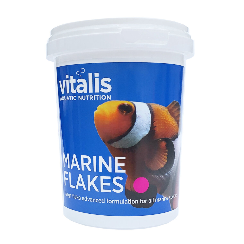 (40g) Vitalis Marine Flakes Fish Food for Marine Reef Aquarium Fish Tank