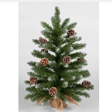 Snowtime 60cm Mini Frosted Norway Tree with 72 Tips & Pine Cones - Quick Assemble, Bushy & Space-Saving
