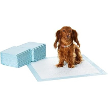Dog and Puppy Training Pads, Leakproof, 5-Layer Design with Quick-Dry Surface, Regular, Pack of 50, Blue