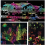 Kids DIY Scratch Drawing Notes 10 Sheets Graffiti Notebook Pages Magic Drawing Book Children Notepad Stationery Gift 3