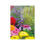 Hozelock 2797 Mist Mico Spay Jet (Pack 12) HOZ27970012 2