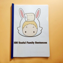 33Pcs/set 100 Useful Family Sentences WorkSheets Workbook Kids Children learning english