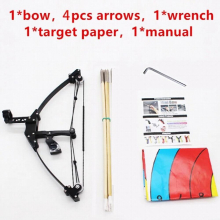 Mini Compound Bow Short Axis Triangle Bow Archery Powerful Stainless Steel Bow with Pulley Outdoor Sports Arrow Shooting Boy Toy