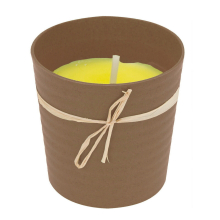 (Brown) Citronella Candles Jar Outdoor Garden Citronella