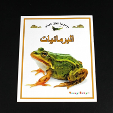 Baby Learning Arabic Early Educational Montessori Animals/Traffic/Insect Stories Books For Kids Children Bedtime Preschool Book