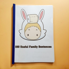 33Pcs/set 100 Useful Family Sentences WorkSheets Workbook Kids Children learning english