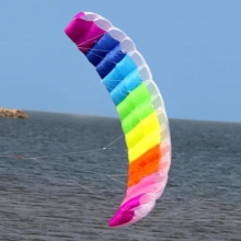 HOT SELL 2.7m Dual Line Power Parafoil Kite Boarding / Surfing So Exciting and Good Flying
