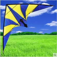 Arrive 1.8m Dual Line Stunt Kite With Handle And Line Good Flying For Adults