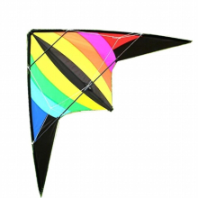 Outdoor Fun Sports 1.8m Power Dual Line Stunt Kite Flying