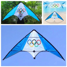 dual Line stunt kite flying professional wind kites for adults kite surf kite string power kite Outdoor play koi