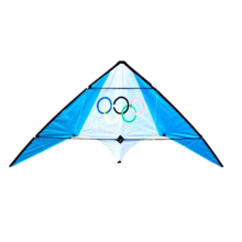 dual Line stunt kite flying professional wind kites for adults kite surf kite string power kite beginner koi