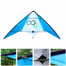 dual Line stunt kite flying professional wind kites for adults kite surf kite string power kite beginner koi