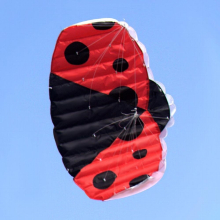 Kite Double string big Ladybug kite Stunt soft kite Large outdoor double toy animal kite breeze easy to fly