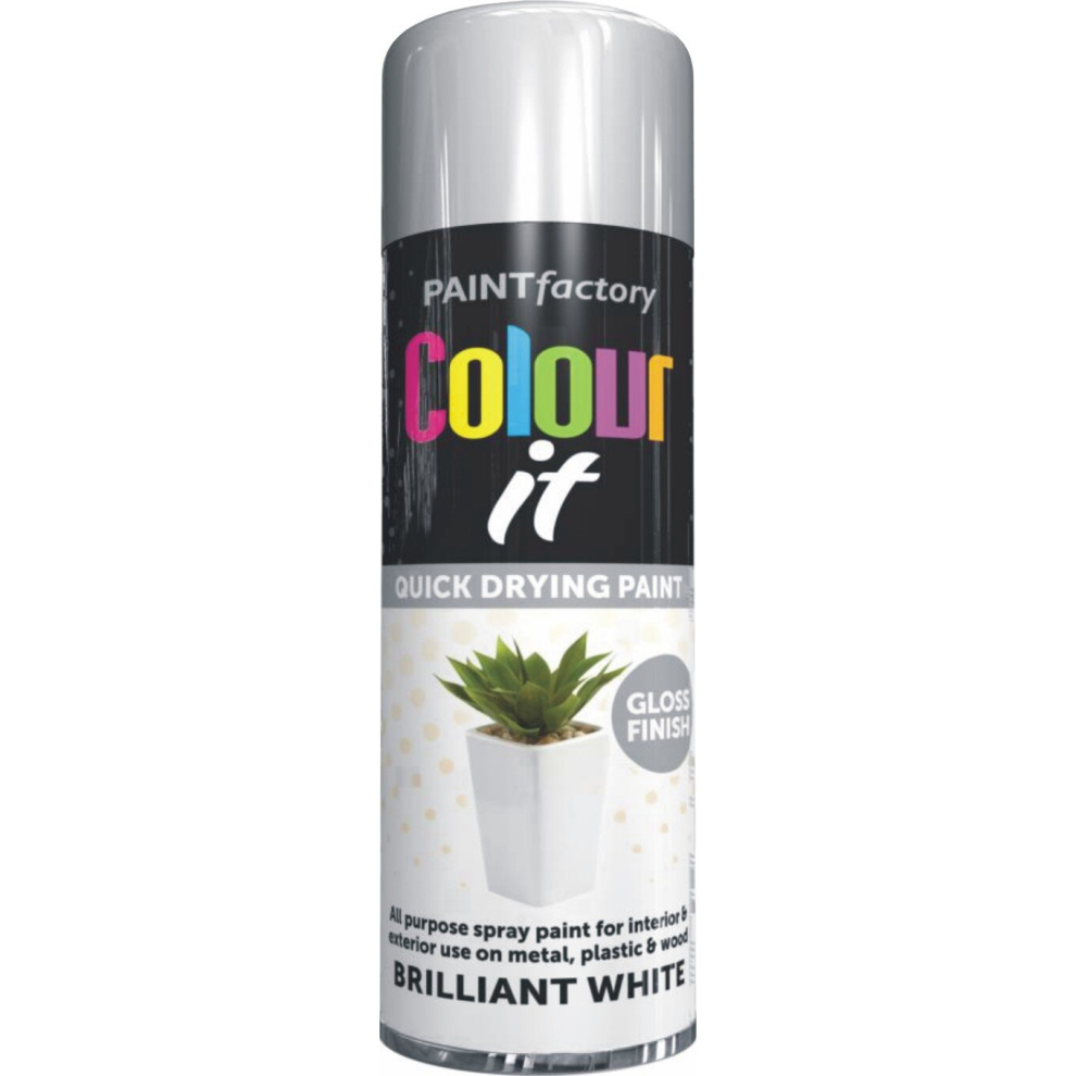 250ml Brilliant White Gloss Finish Spray Car Aerosol Spray Paint