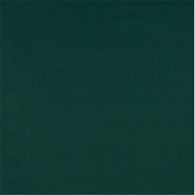 54 in. Wide Green - Solid Indoor & Outdoor Marine Duck Scotchgard Upholstery Fabric