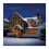 Premier Premier Christmas 960 Multi Action LED Clusters Lights With Timer 3
