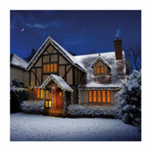 Premier Premier Christmas 960 Multi Action LED Clusters Lights With Timer 2