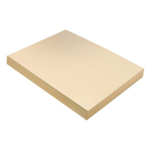 Heavyweight Manila Tagboard, 9 x 12 in. - Pack of 2