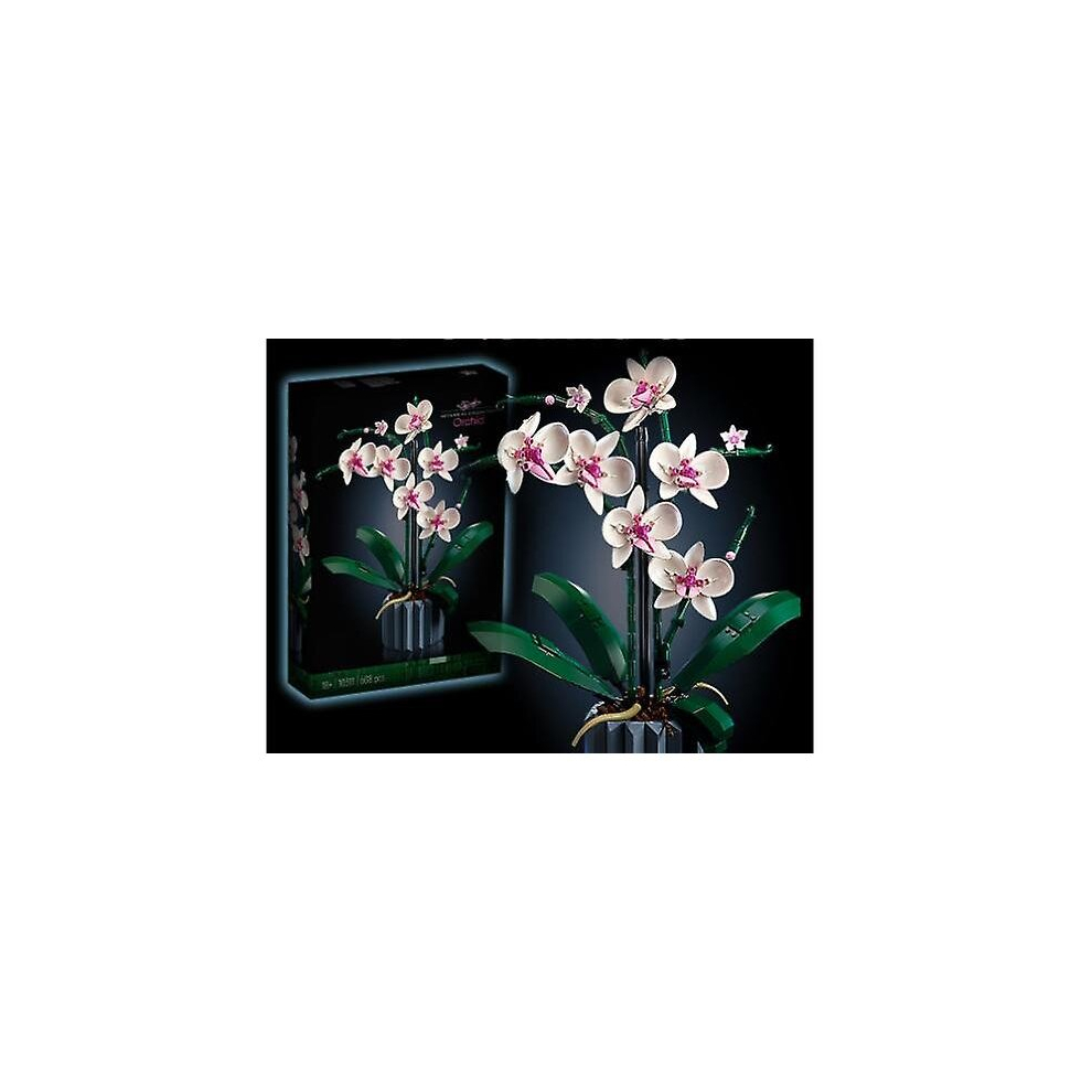 Icons Orchid 10311 Artificial Plant Building Set With   Home Dcor  For Adults  Botanical