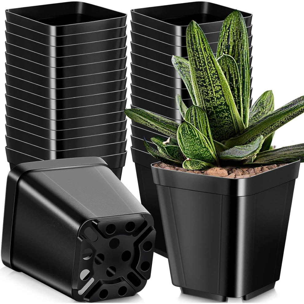 50Pcs Black Square Nursery Pots-image-OPC-PD2NWQ5-NEW