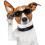 Waterproof, Windproof And Fogproof Pet Sunglasses 4