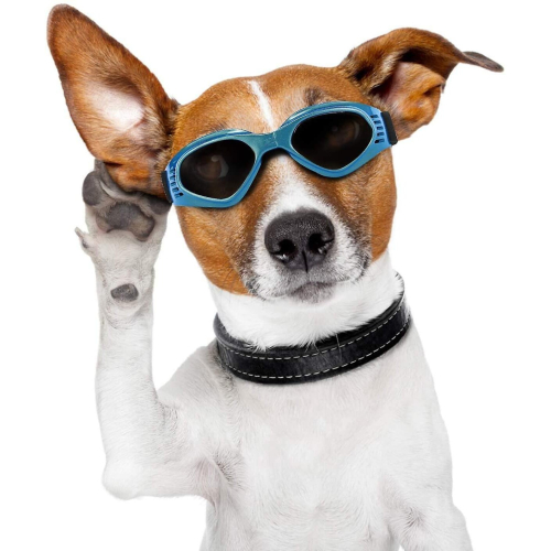 Waterproof, Windproof And Fogproof Pet Sunglasses 2