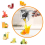 Stainless Steel Manual Fruit Juicer Heavy Duty 4