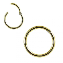 9k Solid Yellow Gold 9 Mm Classic Hinged Segment Clicker Ring