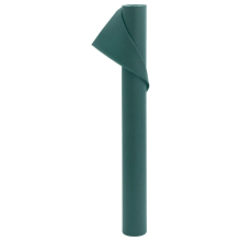 (green, 10 x 1.6 m/ 1 pcs) vidaXL Plant Fleece Frost Protection Outdoor Plant Cover Garden Fleece 70 g/m²