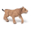Prehistorische figuur: jonge Smilodon 4